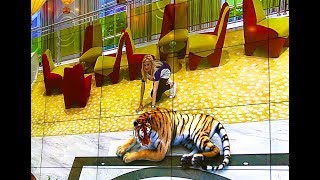 Augmented Reality Zoo