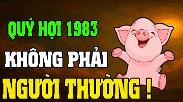 Quý Hợi 1983–Cuộc Đời Khổ Vì Có Căn Trả Nghiệp, Nhưng Hậu Vận Là Đại Phúc Nếu Hiểu Được 7 Điều Này
