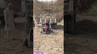mini tractor pulling havey sugarcane loaded trailer screenshot 4