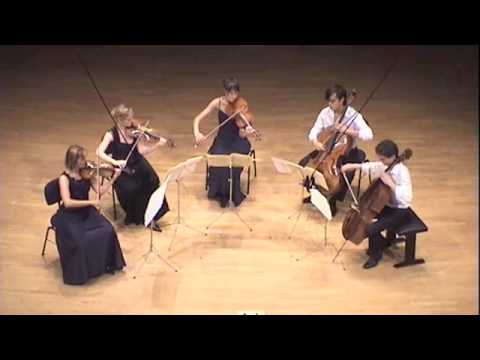 Adagio - F. Schubert String Quintet D.956