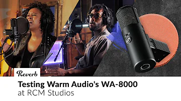 Warm Audio WA-8000: Peter CottonTale & Rachel Robinson at RCM Studios