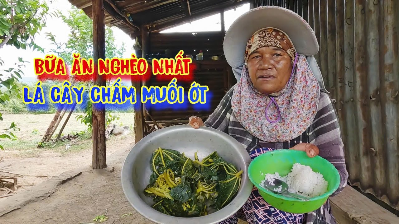 ÔNG BỤT MTQ xuất hiện, cứu giúp người nghèo, ĂN LÁ CÂY để tồn tại - tập 1449