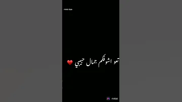 يم قبر ابو السجاد 