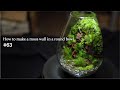 【苔テラリウムの作り方】丸いガラス容器に苔壁を作る方法 #63｜How to make a moss terrarium with a moss wall in a round bowl #63