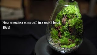 【苔テラリウムの作り方】丸いガラス容器に苔壁を作る方法 #63｜How to make a moss terrarium with a moss wall in a round bowl #63