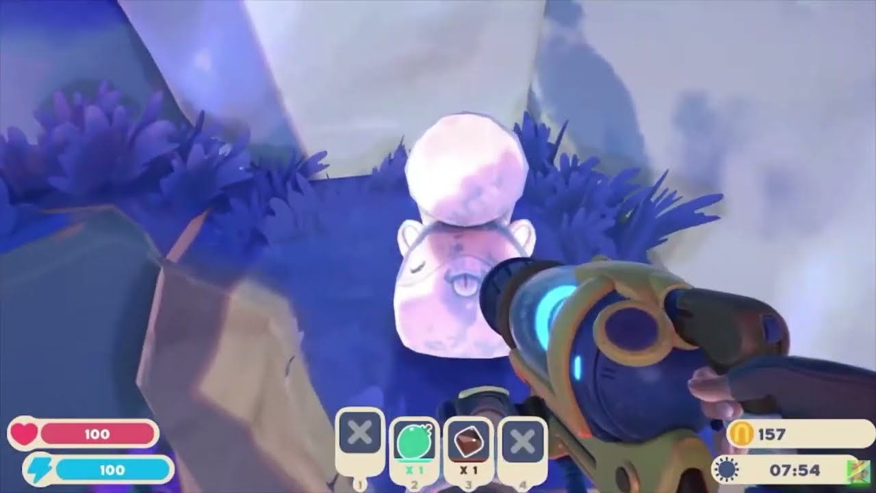 How to get a ringtail slime!