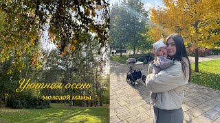 картинка: VLOG | Cosy autumn | Возвращаюсь к себе после рождения малыша