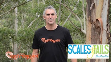 1000 Subscribers Special!!! - CrittaCam