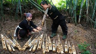 Dwarf Family Harvests Bamboo Grub in Bamboo Shoots | Survival