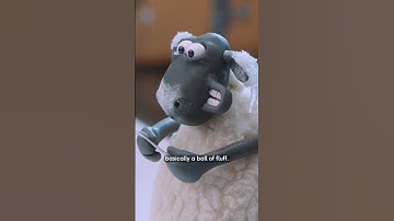 Shaun the Sheep x Barbour 2024 - Live Action! #shaunthesheep #behindthescene #barbourchristmas