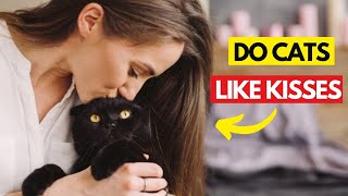 Do cats Understand Hugs and Kisses? Have You Ever Kissed Your Cat__? by Cat Cherish 1,449 views 2 weeks ago 8 minutes, 4 seconds