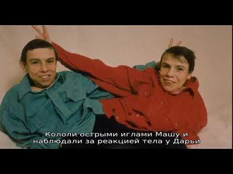 Маша и даша кривошляповы фото