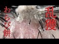 No.200 乱獲わらび餅。鬼かさぶた剥がし / Over-harvesting of the dermis attached to the scab / 過度採集附著於痂皮的真皮