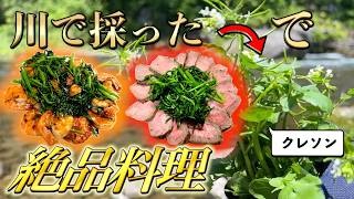 激ウマ野草】クレソンを採って絶品料理！ - YouTube
