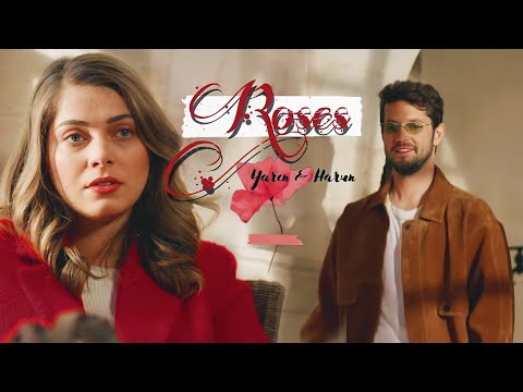 Harun ✘ Yaren ⋮ Hercai — Roses