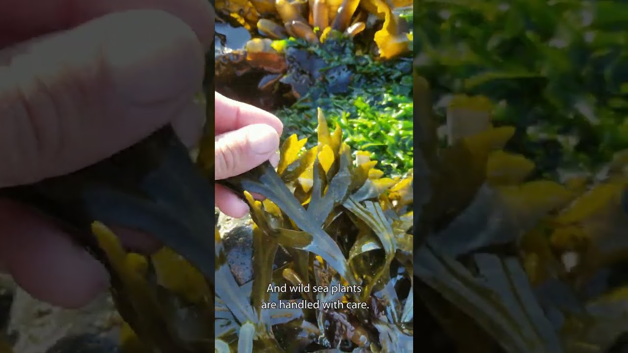 This is how the ocean moves…