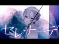 セレナーデ Cover / うえ