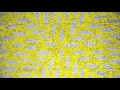 Little Green Cars - Easier Day (Official Audio)