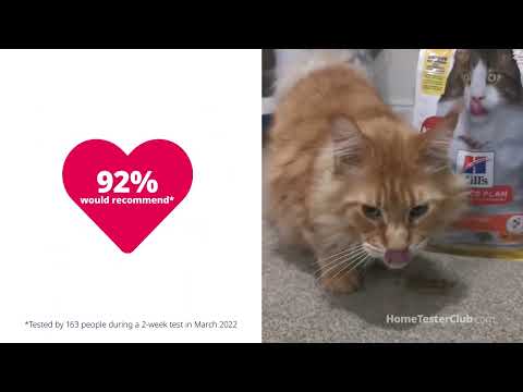 Hill S Science Diet Adult Perfect Digestion Salmon Dry Cat Food