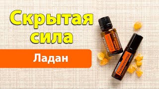 Духовная сила эфирного масла Ладан [выпуск 5]