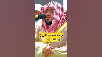 #تلاوة_تريح_قلبك #تلاوة_خاشعة #الشيخ_بندر_بليلة #الحرم_المكي #قرآن_كريم #ترند