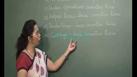 AIPMT 2014 Solutions-Biology Paper [Q-140 to Q-141] By Aakash Institute