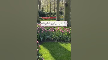 إنما المؤمنون الذين إذا ذكر الله وجلت قلوبهم |سورة الأنفال |القارئ 🎙: سعد الغامدي |قرآن كريم