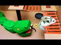 Snake hamster maze with traps  obstacle course