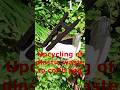 Plastikmüll mit 3D Drucker zu Wäscheklammer upcyclen #Plastikmüll