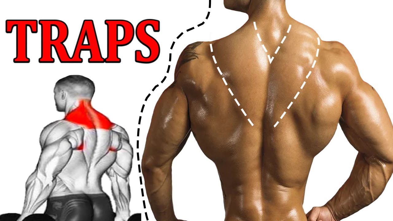 Workout For Traps Get Bigger Traps How To Build Traps Traps Exercises Traps Workout