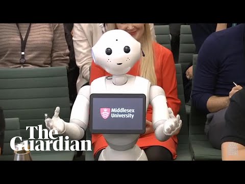 Pepper the robot answers MPs' questions
