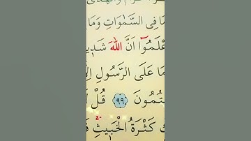 سورة المائدة الأية 98 القارئ سعد الغامدي