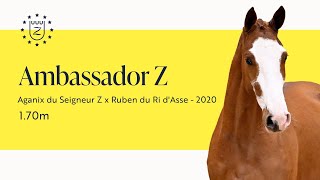 Ambassador Z - Présentation des étalons 2024