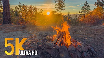 Peaceful Campfire at Sunrise - 5K Nature Relaxation Video with Crackling Fire Sounds