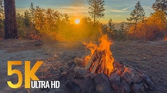 Campfire Youtube