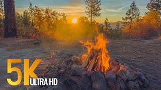 Peaceful Campfire at Sunrise  5K Nature Relaxation Video with Crackling Fire Sounds