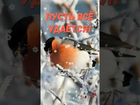 С добрым утром! Музыкальная открытка. Хорошего дня!#shorts