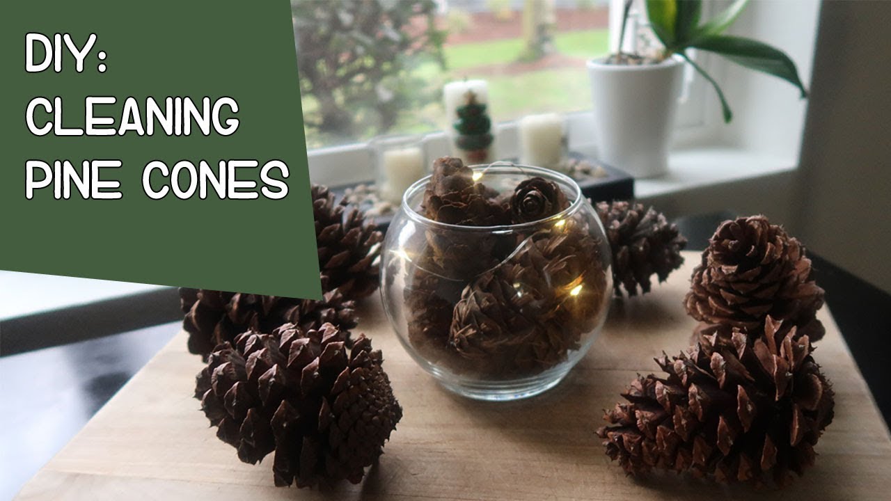 ⭐How to Clean Pine Cones for Crafts in 3 Easy Steps ⭐ MoonMagickSpirit 