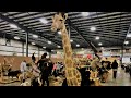 Mid ohio alternative animal and bird sale mt hope exotic animal auction