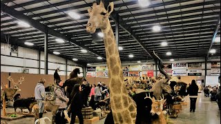 MID OHIO ALTERNATIVE ANIMAL and BIRD SALE...... MT. HOPE EXOTIC ANIMAL AUCTION