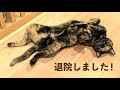 退院しました！