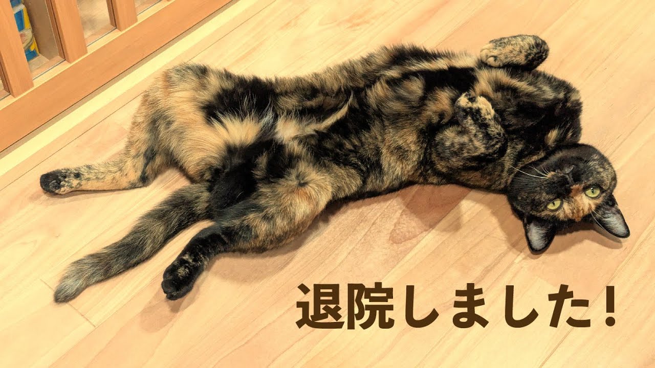 退院しました！