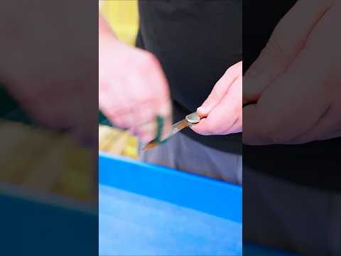How do you remove rust from your knife? | Knife Noob Questions 