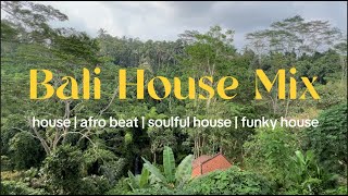 Download Lagu Rainy Jungle House DJ Mix | Bali, Indonesia 2024 MP3