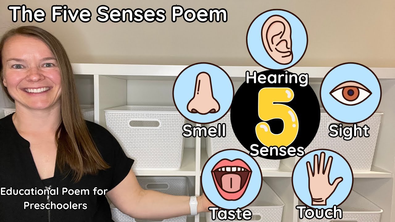Five Senses Poem | Rhyming Poems for Kids| Preschool the Five Senses # ...