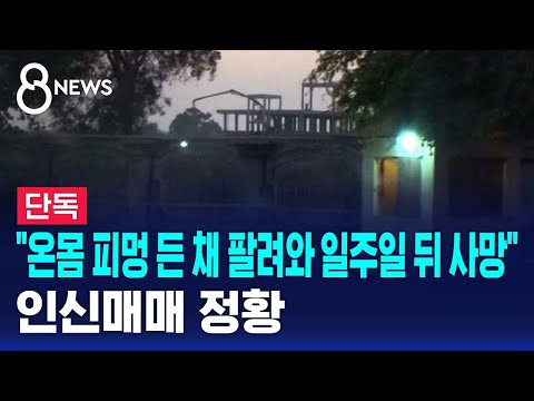 [단독] "온몸 피멍 든 채 팔려와 일주일 뒤 사망"…인신매매 정황 / SBS 8뉴스