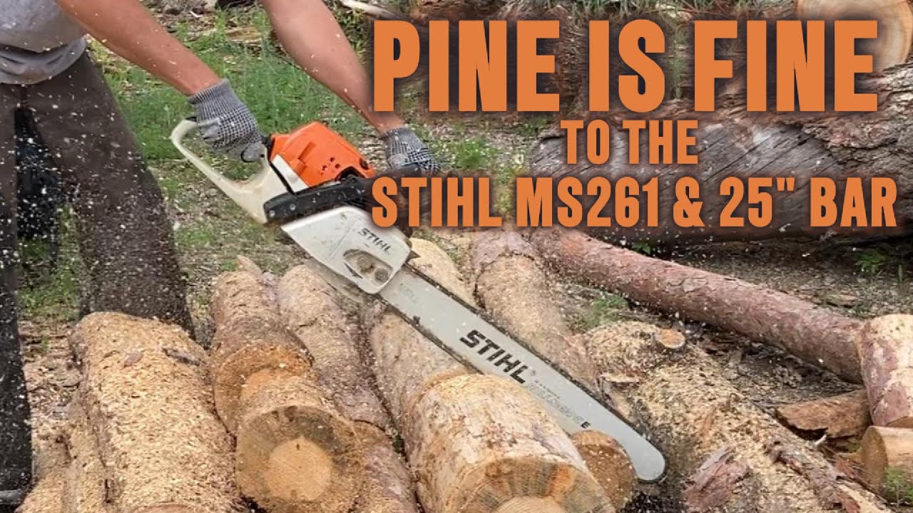 Stihl Chainsaw MS261 with 25 Inch Bar Cutting Pine Firewood! - YouTube