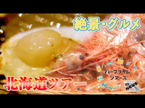 タイムリーな情報をお届け!ハーフタイムツアーズNEWS