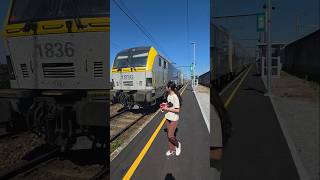 Silly Belgium 🇧🇪 Train Station #trainvideo #brusselslife #train #travel #railway #liketrain