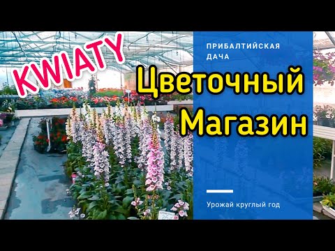 УЕЗЖАЕМ ИЗ ПОЛЬШИ! POLAND! Центр города и магазин.